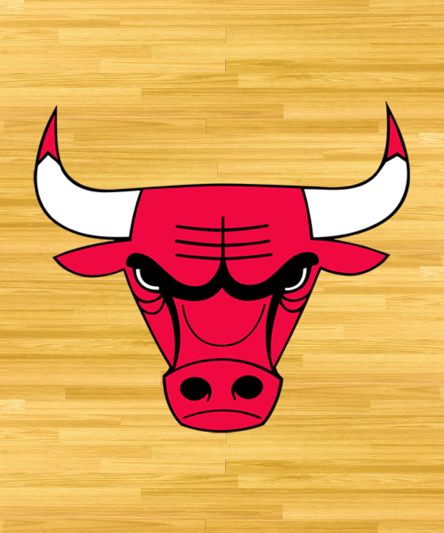 Chicago Bulls